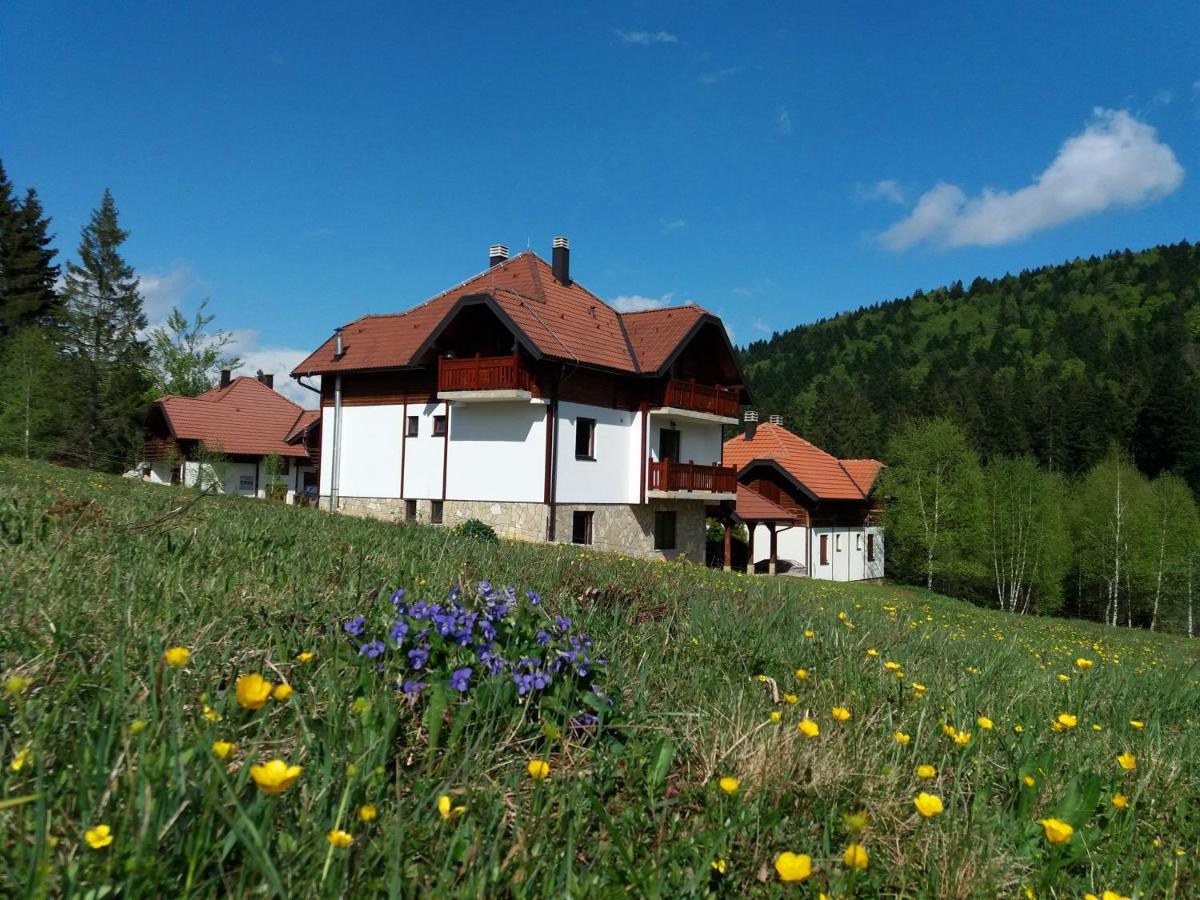 Apartmani Suncani Breg Tara Mitrovac Kültér fotó
